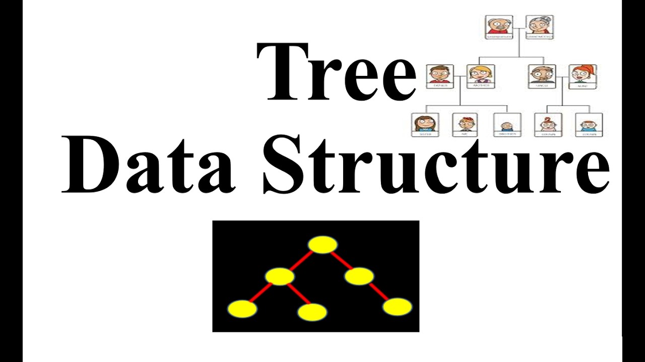 Tree Data Structure| Properties of Tree| Lecture 4 |Chapter 4th |1st ...