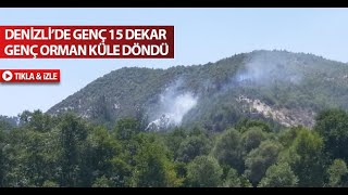 Denizli’de Genç 15 Dekar Genç Orman Küle Döndü Denizli’de Genç 15 Dekar Genç Orman Küle Döndü