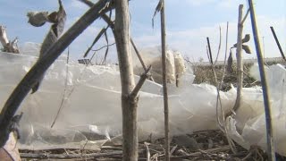 Trash causes concerns with residents in Terre Haute