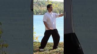 Gentle Tai Chi for Beginners #shorts screenshot 5