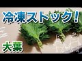 【冷凍保存/大葉編】使い切り小分けストックで活用！時短便利野菜♪