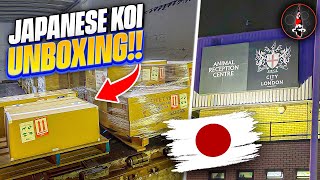 JAPANESE KOI SHIPMENT - UNBOXING!!