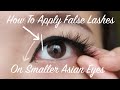 How to Apply Fake Lashes on Monolids & Asian Eyes