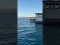 Zürich #lake #swiss #summer #peace #goodvibes #travel #life #nature #shorts #viral #fyp #yt #ot6841