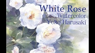 watercolor　 [White Rose] Yoko Harusaki　水彩画　白い 薔薇の描き方　３原色で描く　Watercolor  painting with three colors