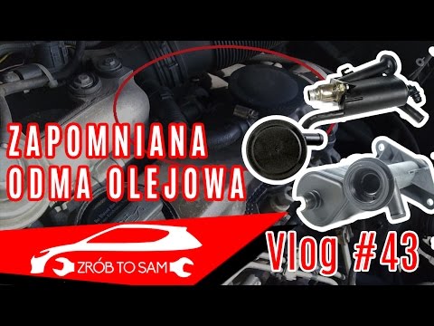 Odma olejowa objawy , diagnoza - omówienie Vlog #43