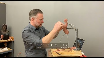 1/4 Scale Figure Sculpt - Part 2 - Primary Forms