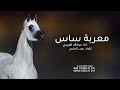 معربة ساس بنت الزعامه حي الله اللي صتيها يرفع الراس اداء عبدالله الفريدي كلمات عريب العتيبي