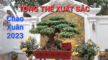 CĂN NHÀ BIỆT THỰ & 1 VƯỜN CÂY QUÁ ĐẸP của chú SỬ NINH HIỆP - GIA LÂM - HN .