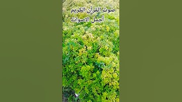 ♥️تلاوه خاشعة من القرآن الكريم بصوت جميل للشيخ اسلام صبحي ♥️🤲 #المصحف #راحة_نفسية #الرحمن