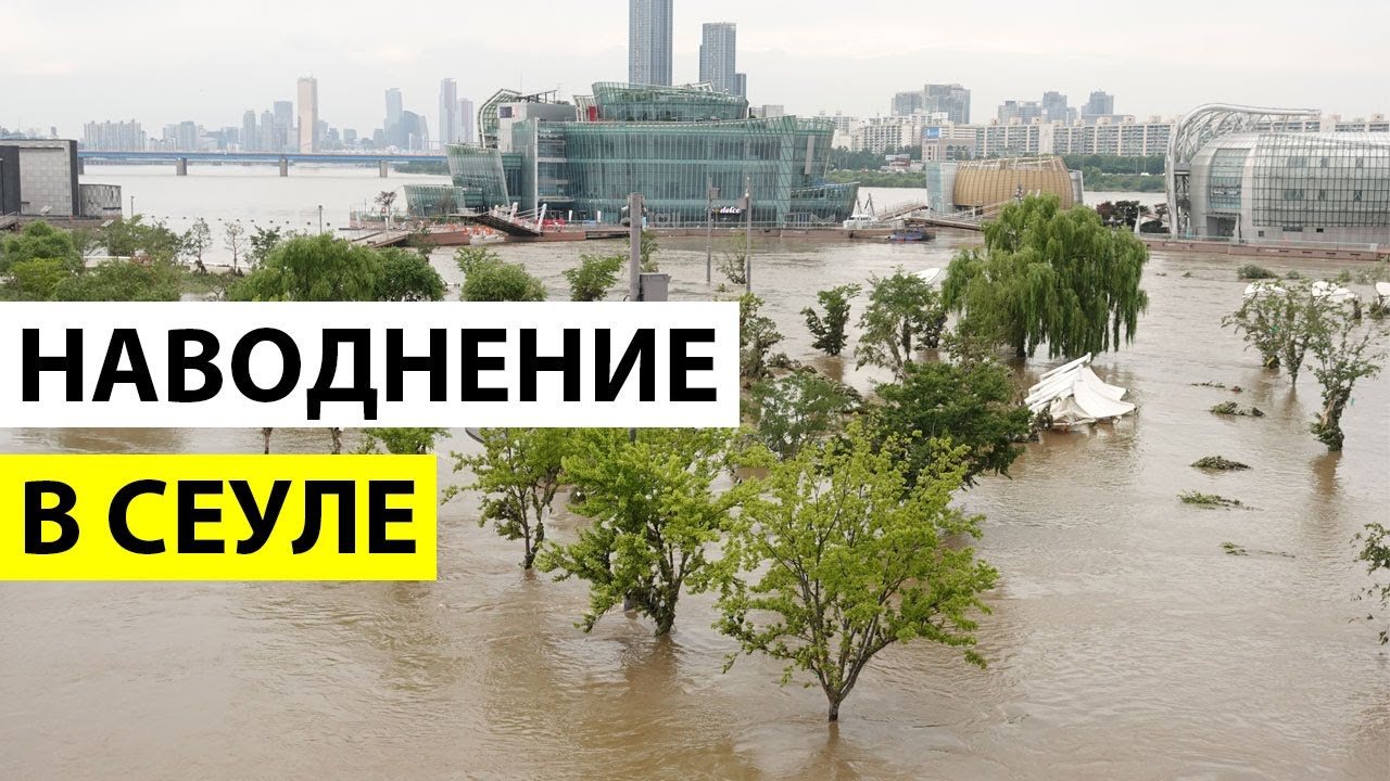 НАВОДНЕНИЕ В СЕУЛЕ. ЗАТОПИЛО СЕУЛ. РЕКА ХАН ВЫШЛА ИЗ БЕРЕГОВ. КОРЕЯ ...