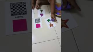 Montessori based - object picture matching 2 - shapes- 17 months