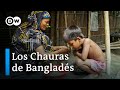 Bangladés: la vida entre el monzón y la estación seca | DW Documental