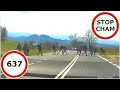 Stop Cham #637 - Niebezpieczne i chamskie sytuacje na drogach