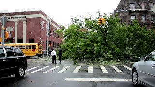 3 Hurricane Isaiah Incidents | Midwood, Brooklyn