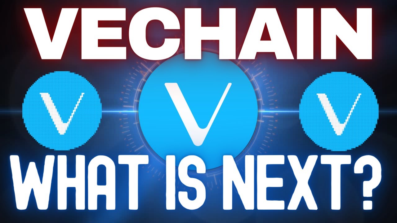What Is VeChain (VET) Cryptocurrency and How Does It Work | by Stephen  Dalton | DataDrivenInvestor