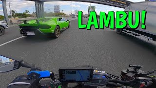 chill lang with LAMBO