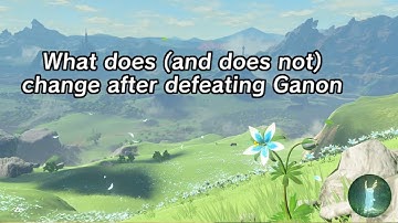 What does and does not change after Ganon [contains endboss spoilers and parts of the credits]