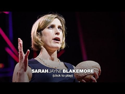 Sarah-Jayne Blakemore: Büyüme çağındaki beyinlerin esrarengiz işleyişi