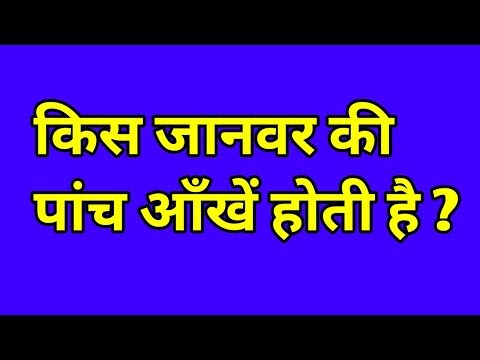 वीडियो: जानवरों के बारे में पहेलियां क्या हैं