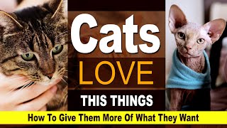 8 Things Every Cat Loves - How To Give Them More than by Wezoo Family 1,790 views 1 year ago 7 minutes, 1 second