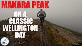 Makara Peak Mountain Bike Park on a classic Wellington day.