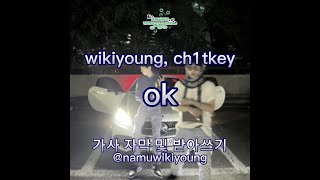 wikiyoung - ok (feat. ch1tkey) (가사/자막 / 위키영, 치트키)