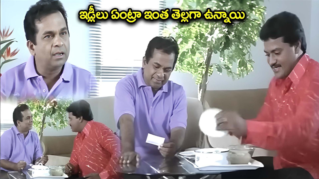 Sunil Non Stop Comedy Scenes | Sunil Brahmanandam Comedy | iDream Hyderabad