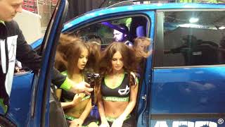 Alphard Deaf Bonce hairtrick