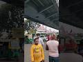 देखो क्या मिला #youtubeshorts #Reels #शॉर्ट्स #रील #Shorts