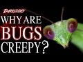 Why Are Bugs Creepy? | Darkology #16