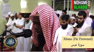 سورة عبس برواية الدوري عن الكسائي القارىء الشيخ عكاشة كميني