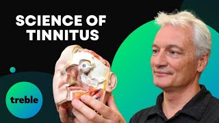The Neuroscientist Dedicated To Finding A Tinnitus Cure - Dr. Dirk De Ridder