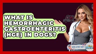 What Is Hemorrhagic Gastroenteritis (HGE) In Dogs? - Ask A Pet Vet Blood In Dog Stool Vet Explains Ahds Hge Treatment
