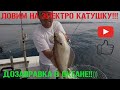 ЭЛЕКТРО КАТУШКА! КРУПНАЯ ФОНЕКА! ВЕСЕЛО)