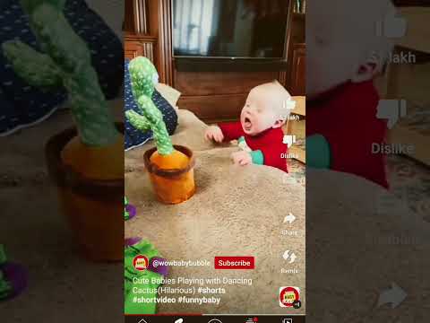 Cute babies  with dancing toy  (funnyy) Credits :wow baby bubble #shorts #shortvideo #funnybaby #fyp