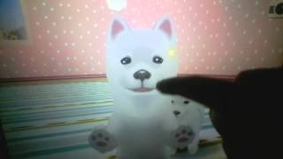 Dog Sweetie Friends My New Dog screenshot 5