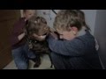 National Blind Children's Society - Buddy Dogs National Blind Children's Society - Buddy Dogs