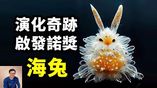 海兔：像外星生物一樣科幻，啓發了諾貝爾獎，海底的兔子竟如此神奇！【老肉雜談】#動物 #海洋生物 #海兔 #海蛞蝓 #海洋