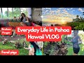 Life in pahoa big island hawaii vlog l broken finger  sunrise  makuu point