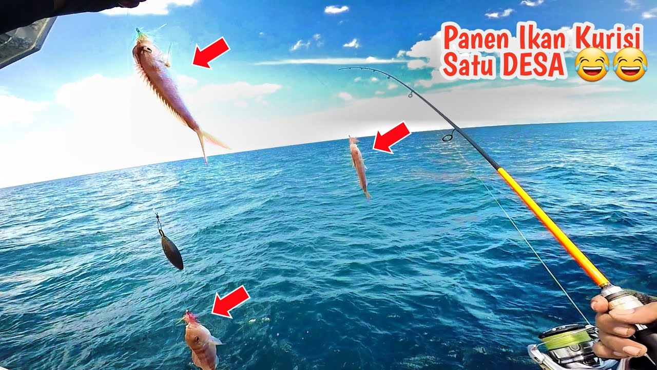 UMPAN ALAMI !!! Cumi Potong + Sabiki ??Positif Panen ikan Kakap Merah