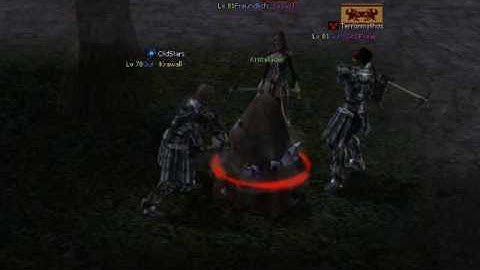 Metin2 High lvl Hacker