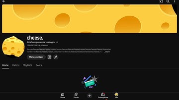 20 SUBSCRIBER SPECIAL!!!!! (Video Version)