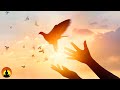 Zen Meditation Music, Relaxing Music, Calm Music, Healing, Reiki Music, Chakra, Zen, Study, ☯3636