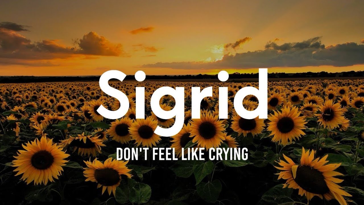 Dont feeling. Sigrid-don't feel like crying.