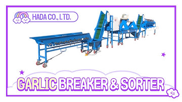 HADA 03 garlic separation sorting machine