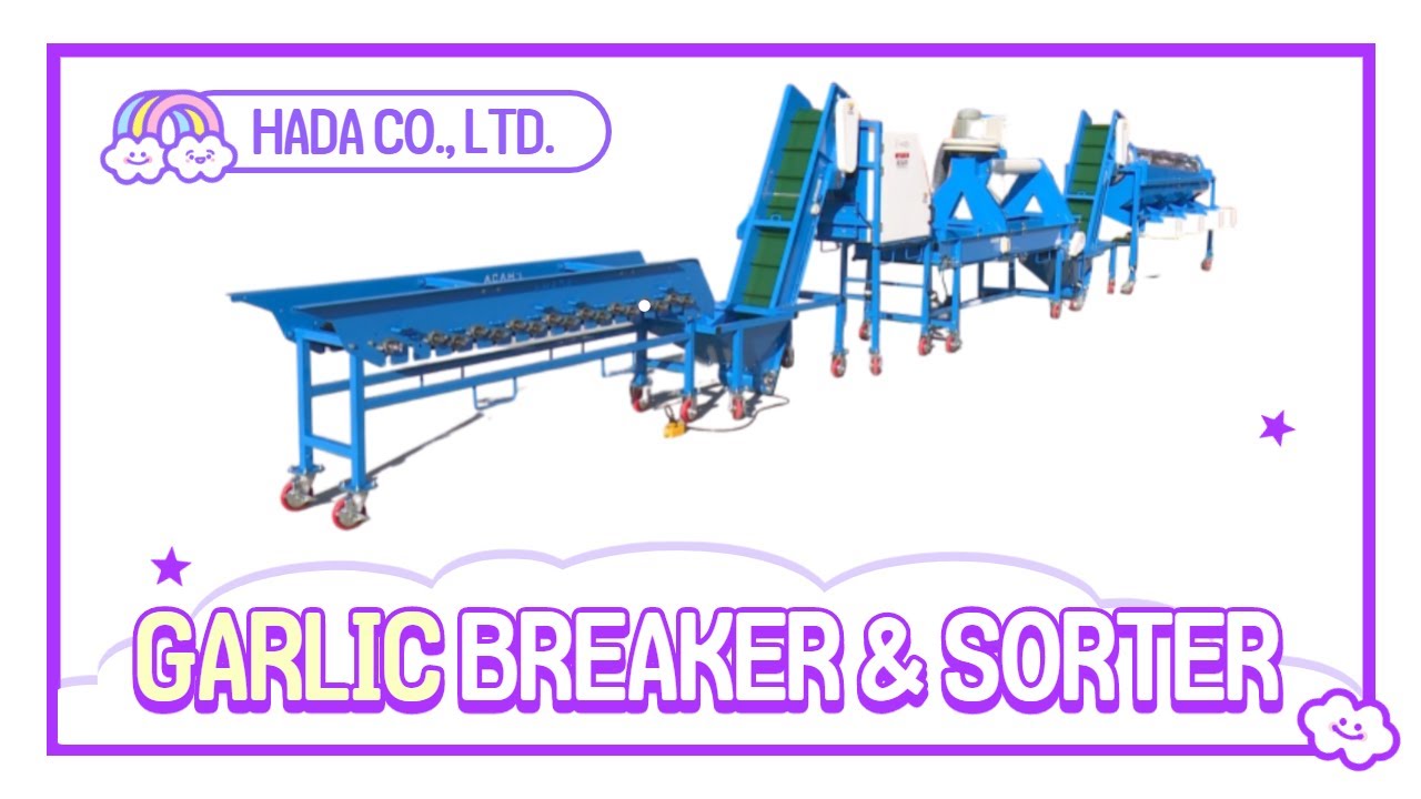 HADA 03 garlic separation sorting machine