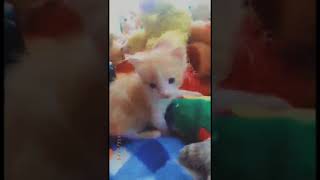 Önemli Duyuruaçıklama