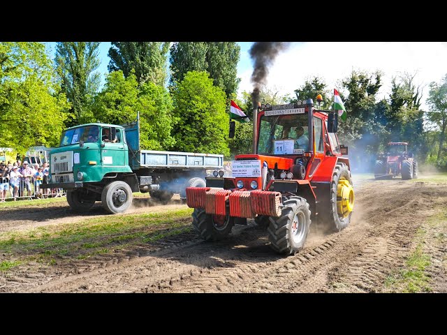 Szarvas 2024 - Erőhúzások 💪 IFA L60 vs MTZ 82 Turbo | Rába vs MTZ class=