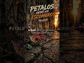 PETALOS ENTRE LOS ESCOMBROS pt 1  #rapconciencia #escueladerap #musica #rap #hiphop